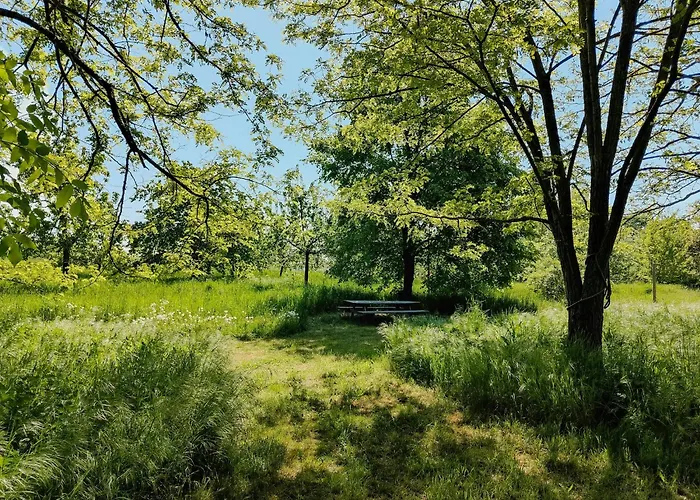 Maisonette With Wood Stove And Natural Garden * Ihlow (Markisch-Oderland)